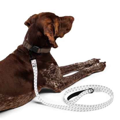 Quantum Nanops: Pet Leash (From the indGame book series)